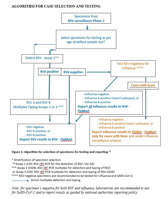 Algorithm_case_selection_testing_RSV Algorithm_case_selection_testing_RSV