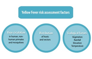 yellow fever chart yellow fever chart
