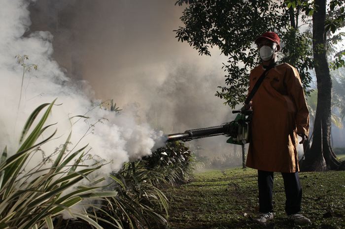 Dengue INO A person in protective clothing and a mask is fogging an outdoor area to control mosquito populations.