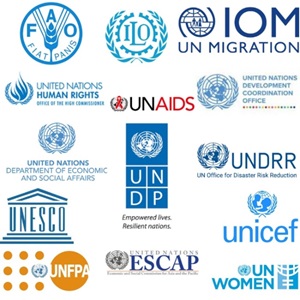 UN Partners logo