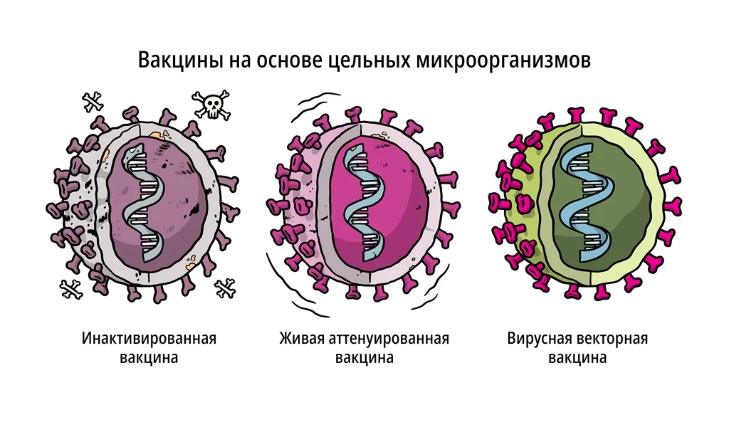 Вакцины на основе цельных микроорганизмов
