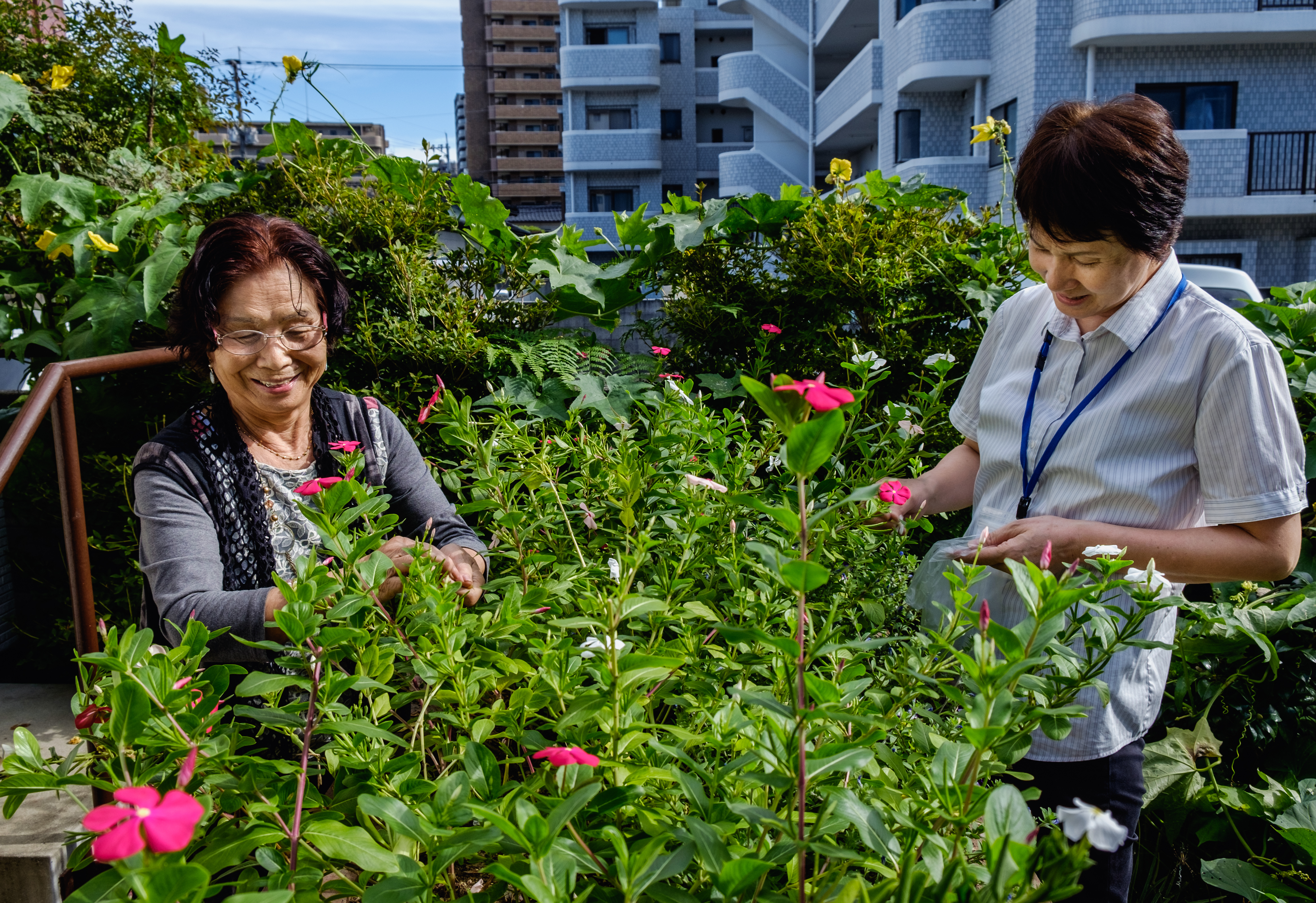 F7_27092016_JP_5222 F7_27092016_JP_5222